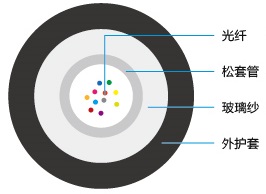 欧美成人精品A片免费一区99