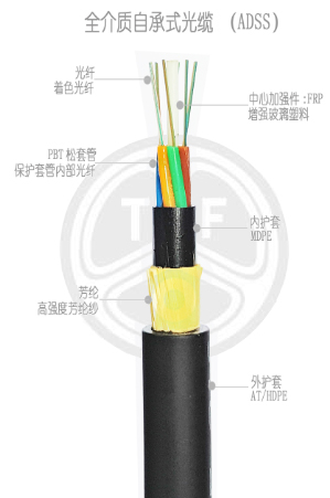 欧美成人精品A片免费一区99