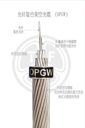 欧美成人精品A片免费一区99