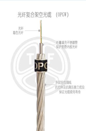 欧美成人精品A片免费一区99