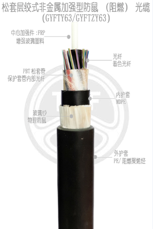 欧美成人精品A片免费一区99