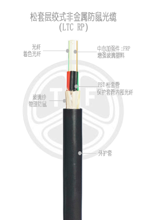 欧美成人精品A片免费一区99