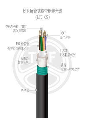 欧美成人精品A片免费一区99