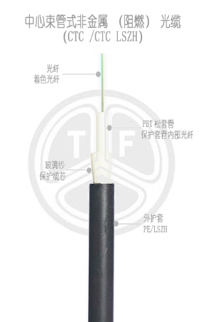 欧美成人精品A片免费一区99