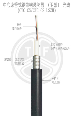 欧美成人精品A片免费一区99