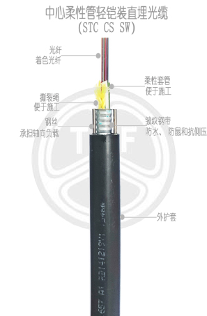 欧美成人精品A片免费一区99