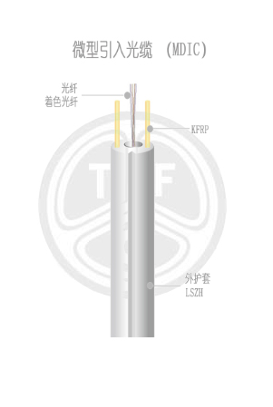 欧美成人精品A片免费一区99