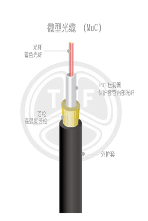 欧美成人精品A片免费一区99