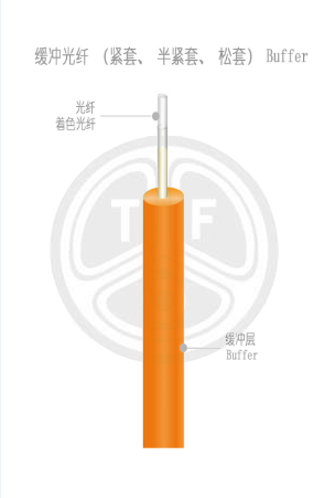 欧美成人精品A片免费一区99