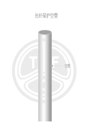 欧美成人精品A片免费一区99