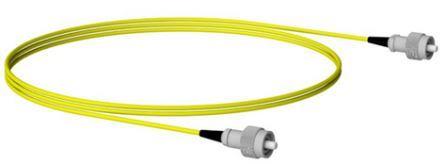 欧美成人精品A片免费一区99