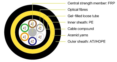 欧美成人精品A片免费一区99