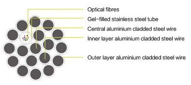 欧美成人精品A片免费一区99