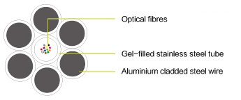 欧美成人精品A片免费一区99