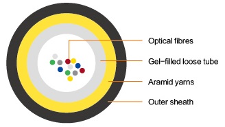 欧美成人精品A片免费一区99