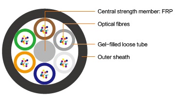欧美成人精品A片免费一区99