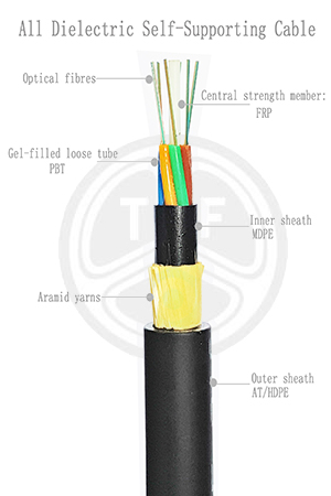 欧美成人精品A片免费一区99
