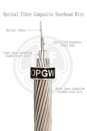 欧美成人精品A片免费一区99