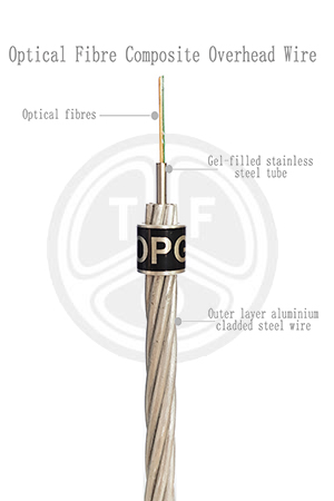 欧美成人精品A片免费一区99