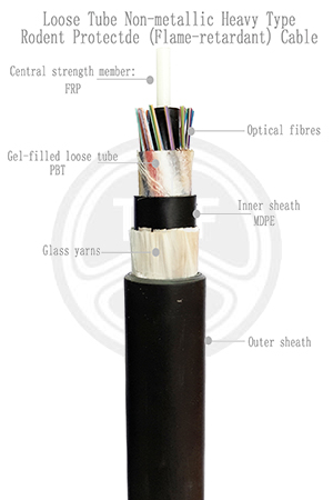 欧美成人精品A片免费一区99