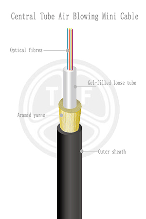 欧美成人精品A片免费一区99