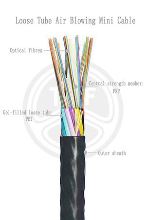 欧美成人精品A片免费一区99