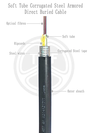 欧美成人精品A片免费一区99