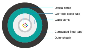 欧美成人精品A片免费一区99