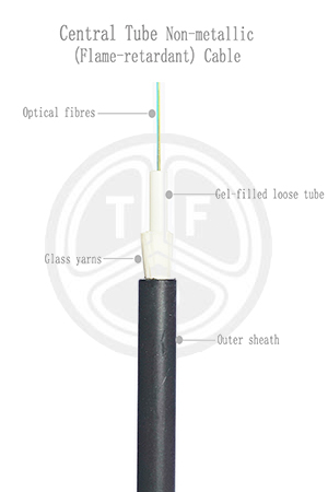 欧美成人精品A片免费一区99