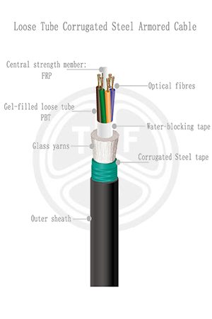 欧美成人精品A片免费一区99