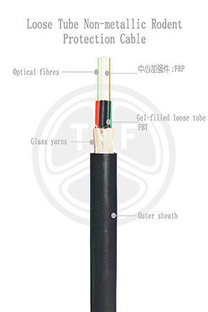 欧美成人精品A片免费一区99