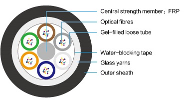 欧美成人精品A片免费一区99