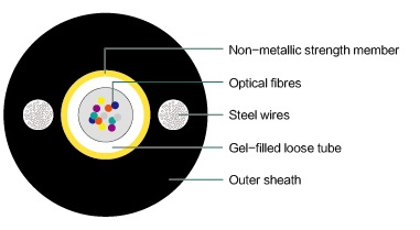 欧美成人精品A片免费一区99