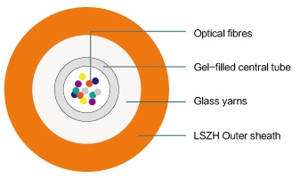 欧美成人精品A片免费一区99