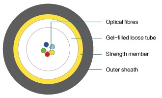 欧美成人精品A片免费一区99