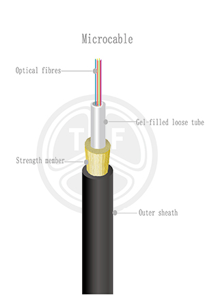 欧美成人精品A片免费一区99