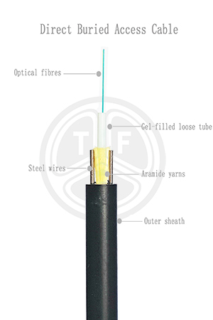 欧美成人精品A片免费一区99