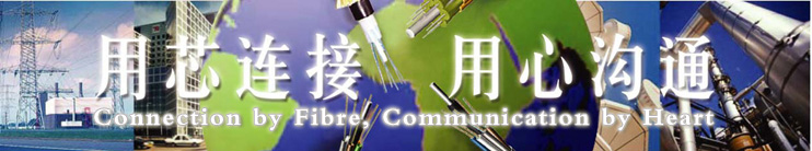 欧美成人精品A片免费一区99