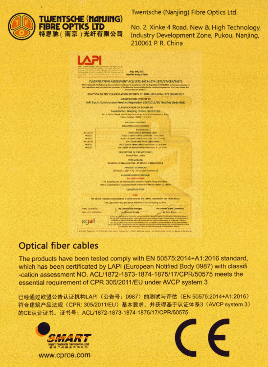 欧美成人精品A片免费一区99