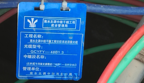 欧美成人精品A片免费一区99