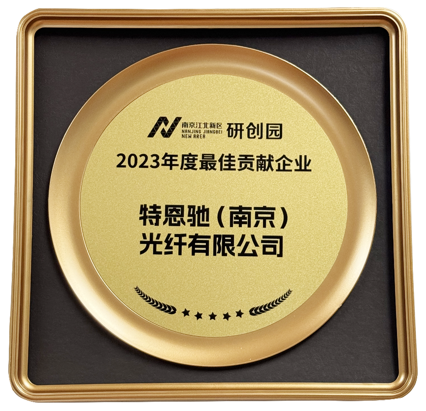 欧美成人精品A片免费一区99