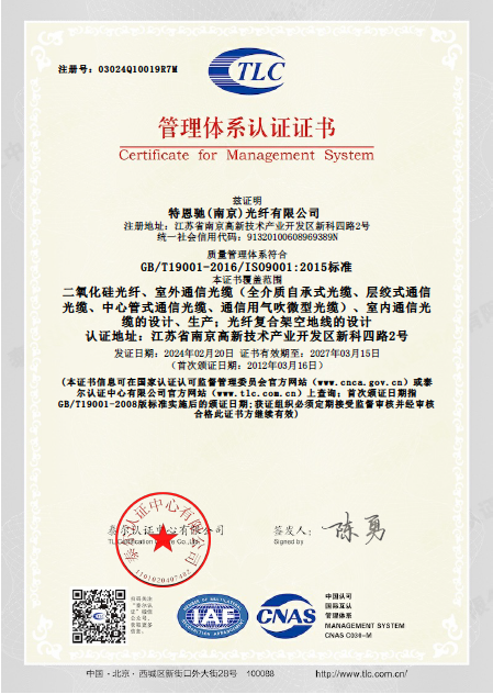 欧美成人精品A片免费一区99